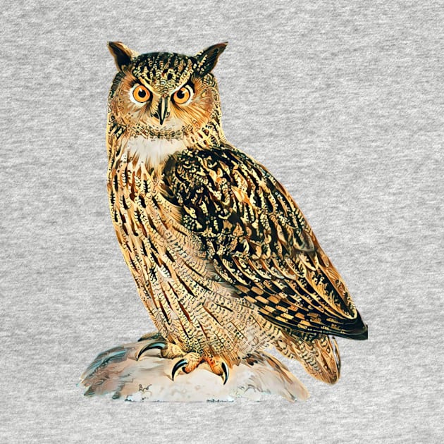 Owl - Woodland Themed Kids Room, Funny Gifts For Forester, Cute Animals by Shirtsmania